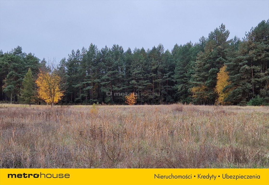 Działka inna na sprzedaż Cegielnik  1 200m2 Foto 5