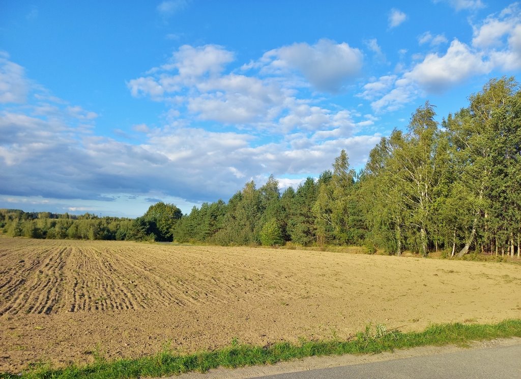 Działka budowlana na sprzedaż Syberia  2 217m2 Foto 4