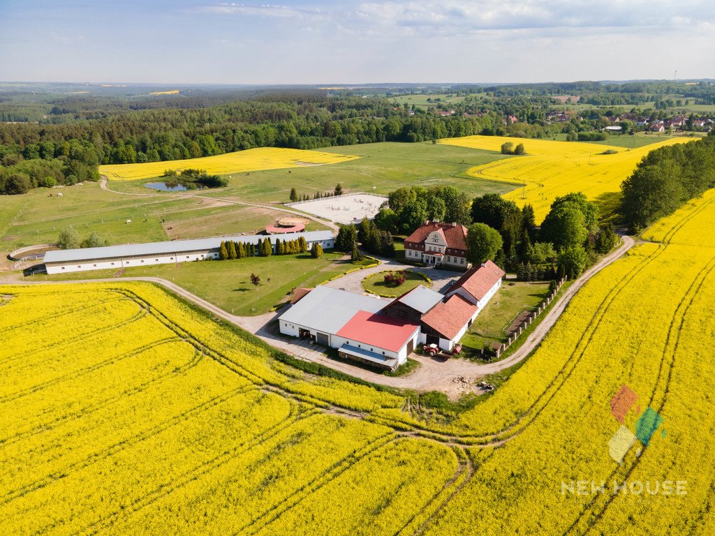 Przestronny dworek na Warmii z 33 ha, prywatność i spokój Spręcowo  900m2 Foto 1