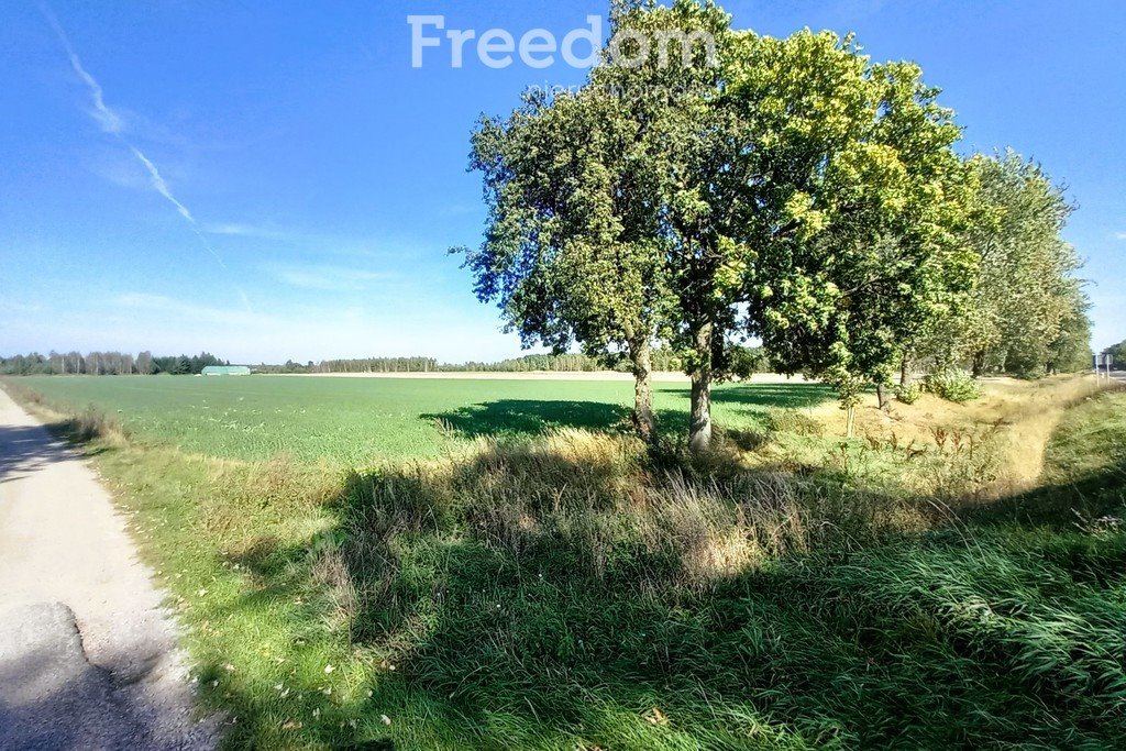 Działka przemysłowo-handlowa na sprzedaż Radzyń Podlaski, Wisznicka  15 532m2 Foto 4