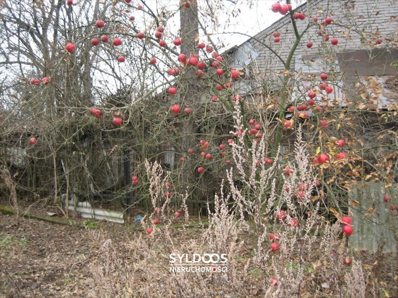 Lokal użytkowy na sprzedaż Jerzmanowice, - 3 000m2 Foto 1 Lokal użytkowy na sprzedaż Jerzmanowice, - 3 000m2 Foto 1