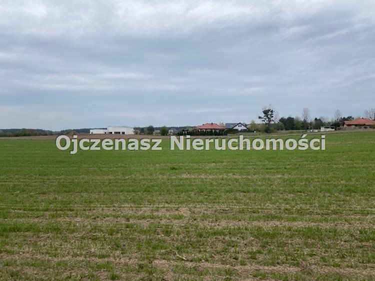 Zdjęcie 4