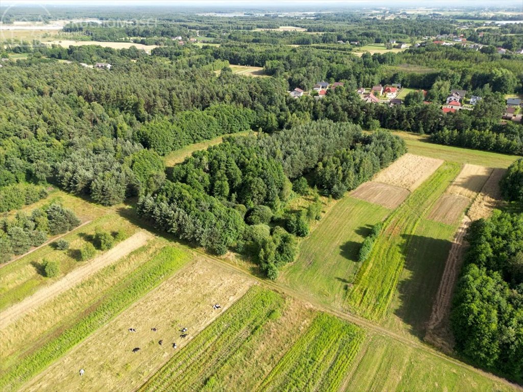 Działka rolna na sprzedaż Zaborów  5 300m2 Foto 14