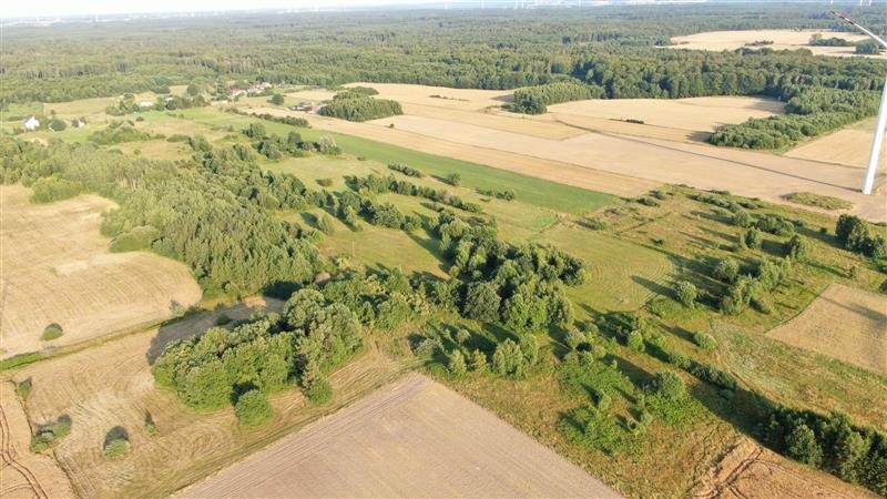 Działka siedliskowa na sprzedaż Jeżyce, Jeżyce  61 000m2 Foto 4