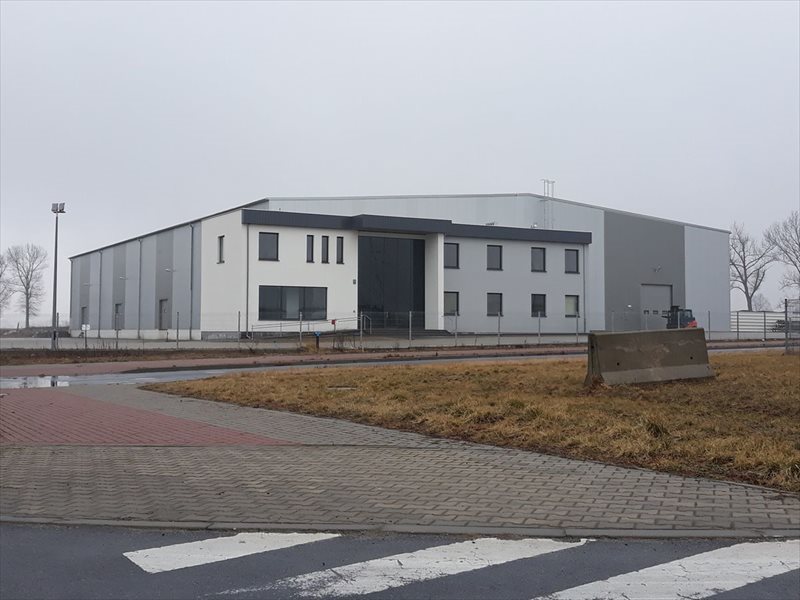 Lokal użytkowy na wynajem Poznań, Grunwald 3 900m2 Foto 1 Lokal użytkowy na wynajem Poznań, Grunwald 3 900m2 Foto 1