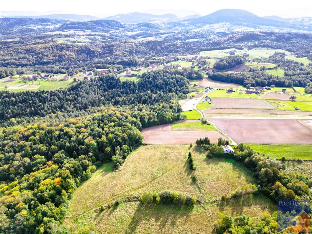 Działka budowlana na sprzedaż Stare Rybie  900m2 Foto 8