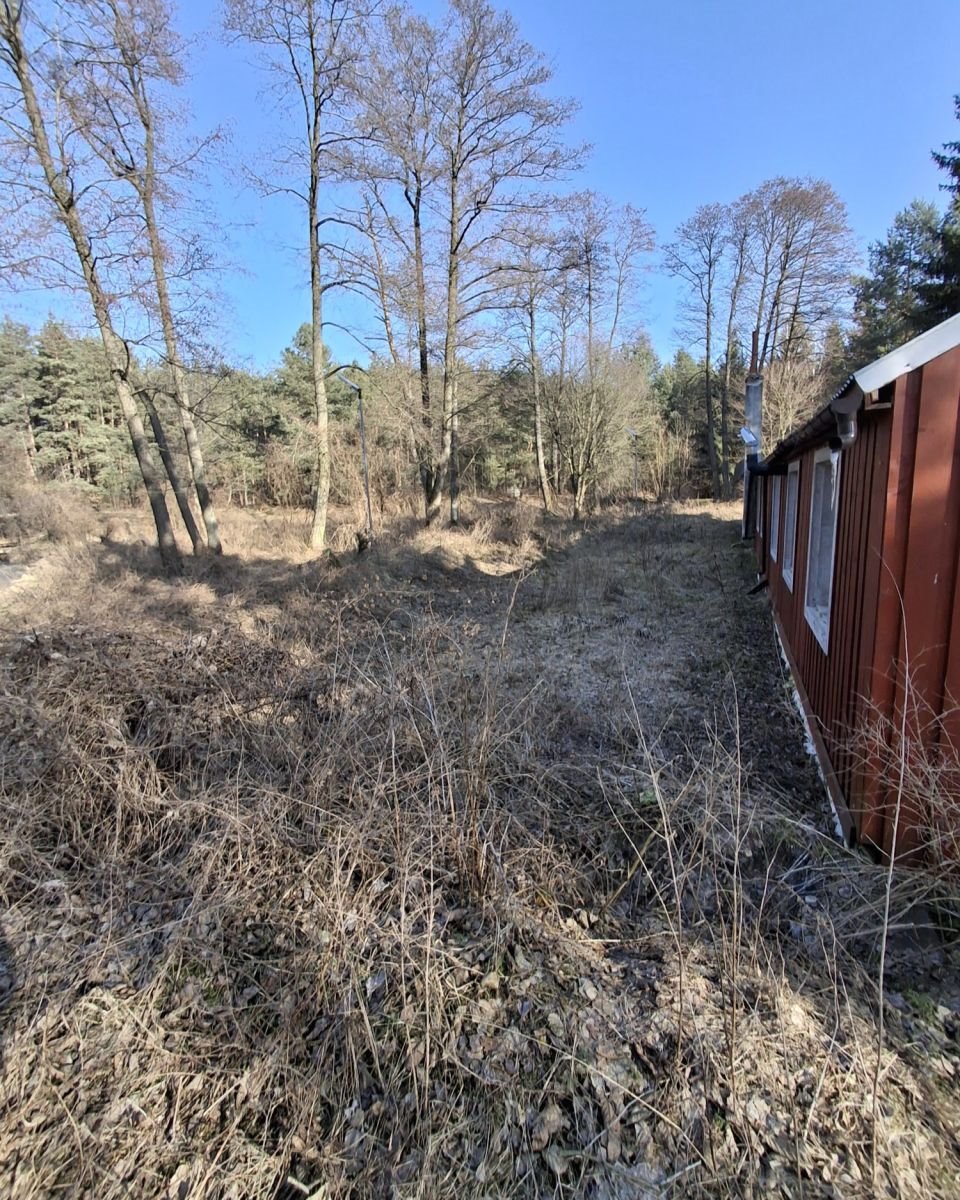 Lokal użytkowy na sprzedaż Tartak  52 600m2 Foto 11