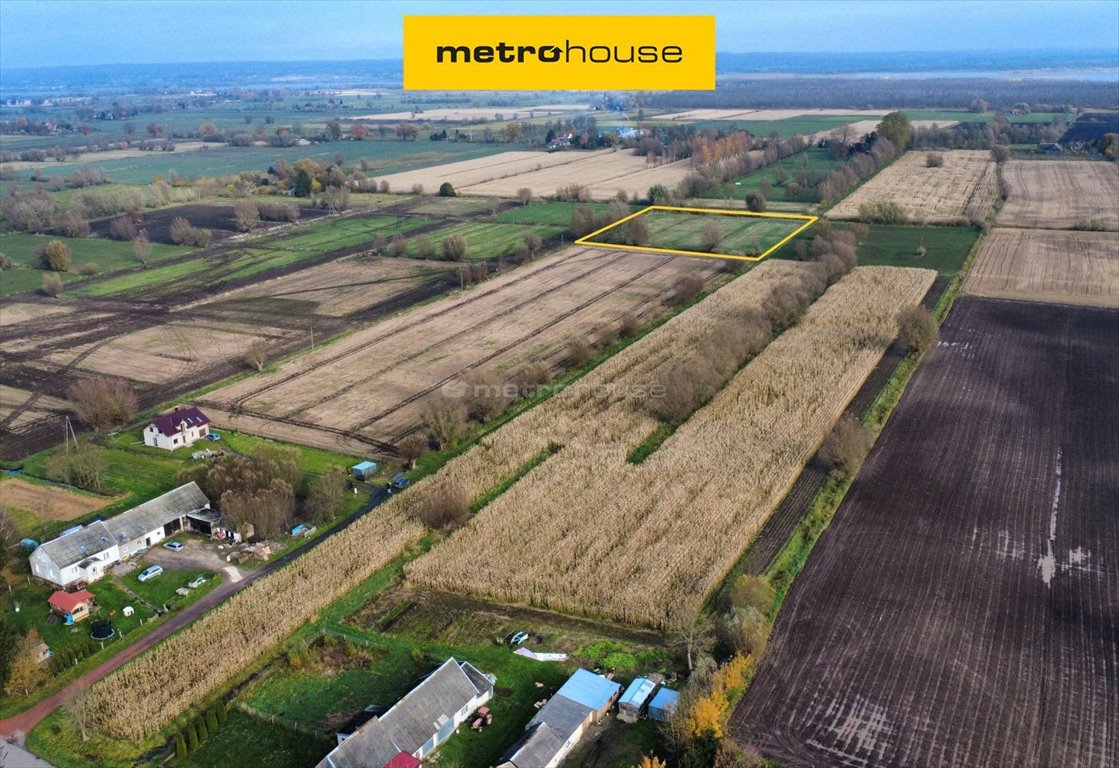 Działka rolna 5610 m² w Krzewsku - inwestycja i rekreacja. Krzewsk  5 610m2 Foto 1