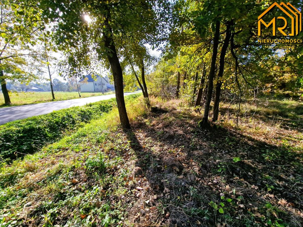 Działka inna na sprzedaż Sutków  15 100m2 Foto 1