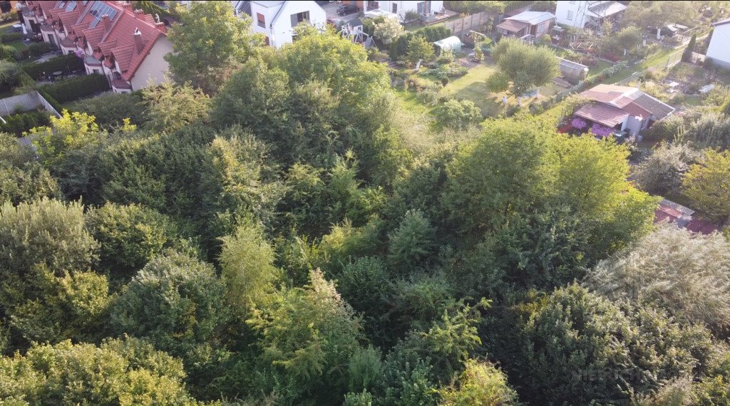 Działka budowlana na sprzedaż Szczecin, Gumieńce, Leopolda Okulickiego  5 246m2 Foto 7