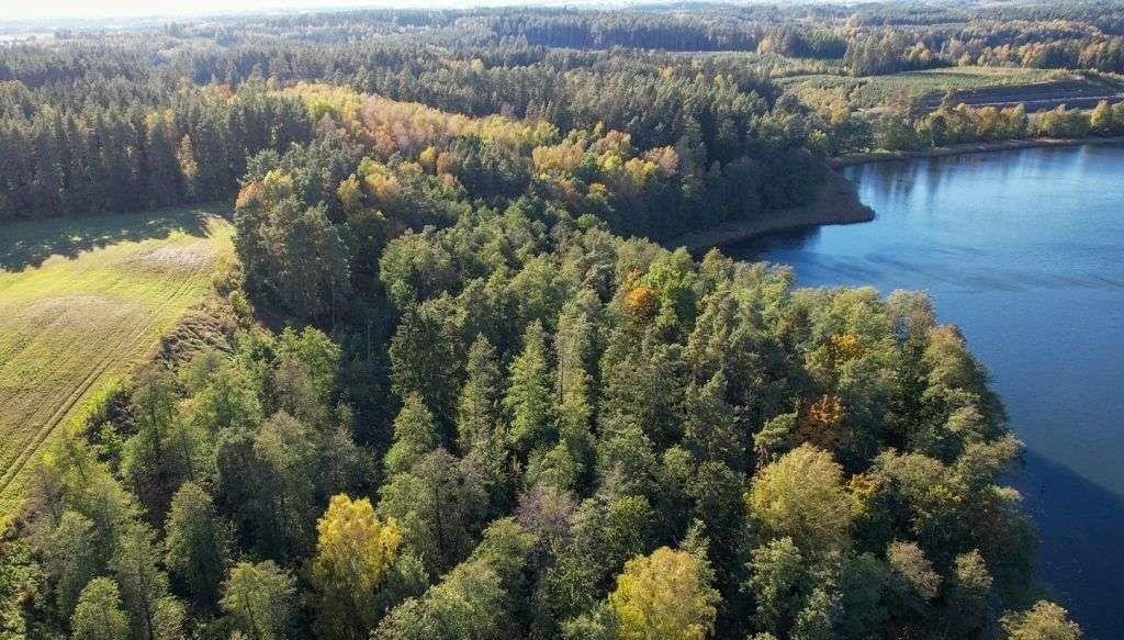 Działka rolna na sprzedaż Ramsowo  6 195m2 Foto 2