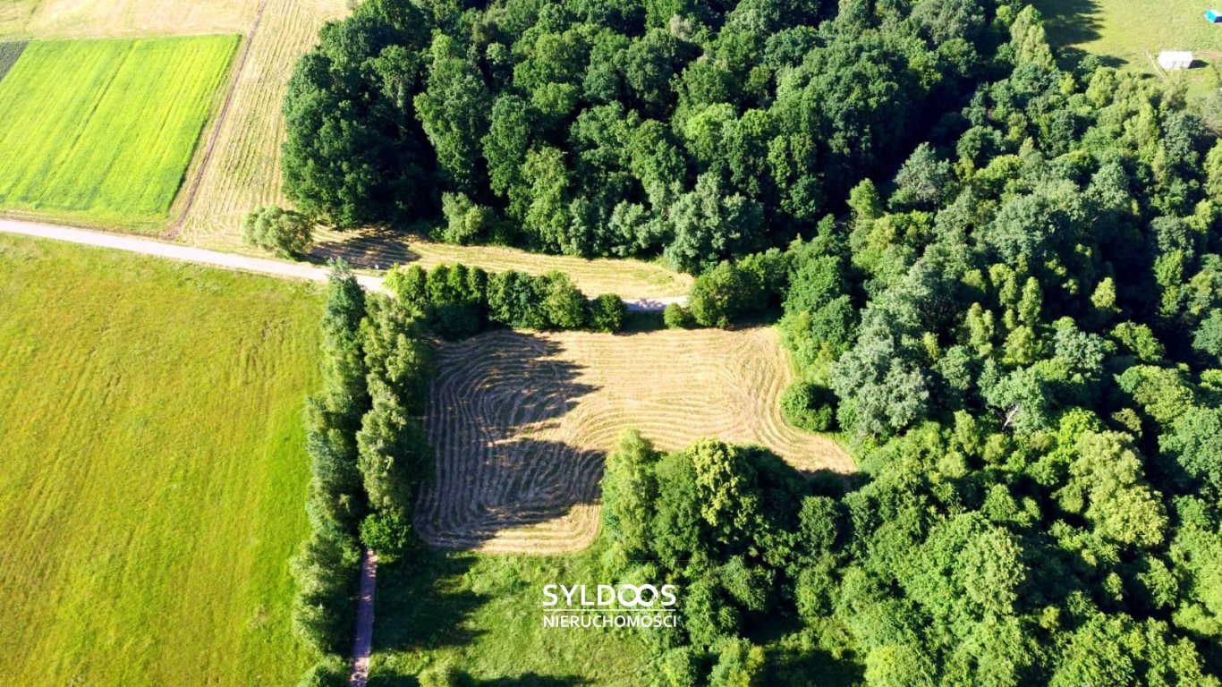 Działka rolna na sprzedaż Radziszów  14 000m2 Foto 2