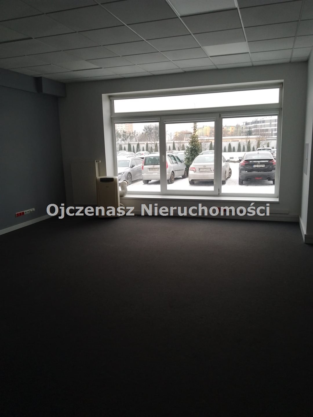 Zdjęcie 6