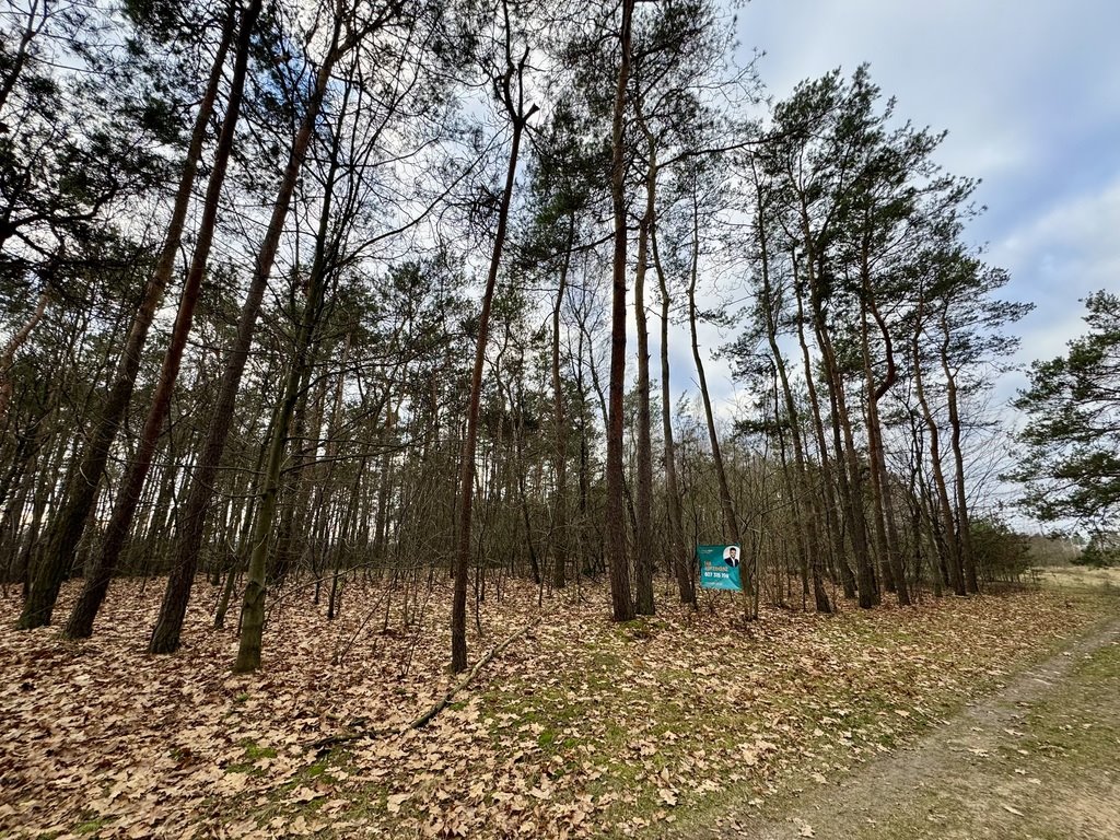 Działka budowlana w lesie, 1370 m², media, dojazd asfalt Romanów, Przyszkolna  1 370m2 Foto 1