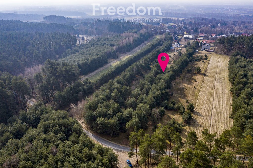 Działka budowlana na sprzedaż Zarzecze, Leśna  4 946m2 Foto 4