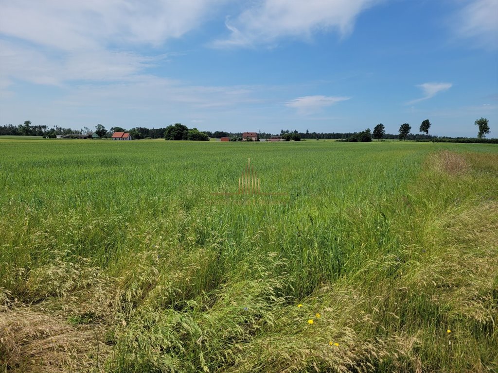 Działka budowlana na sprzedaż Niwy  1 263m2 Foto 1