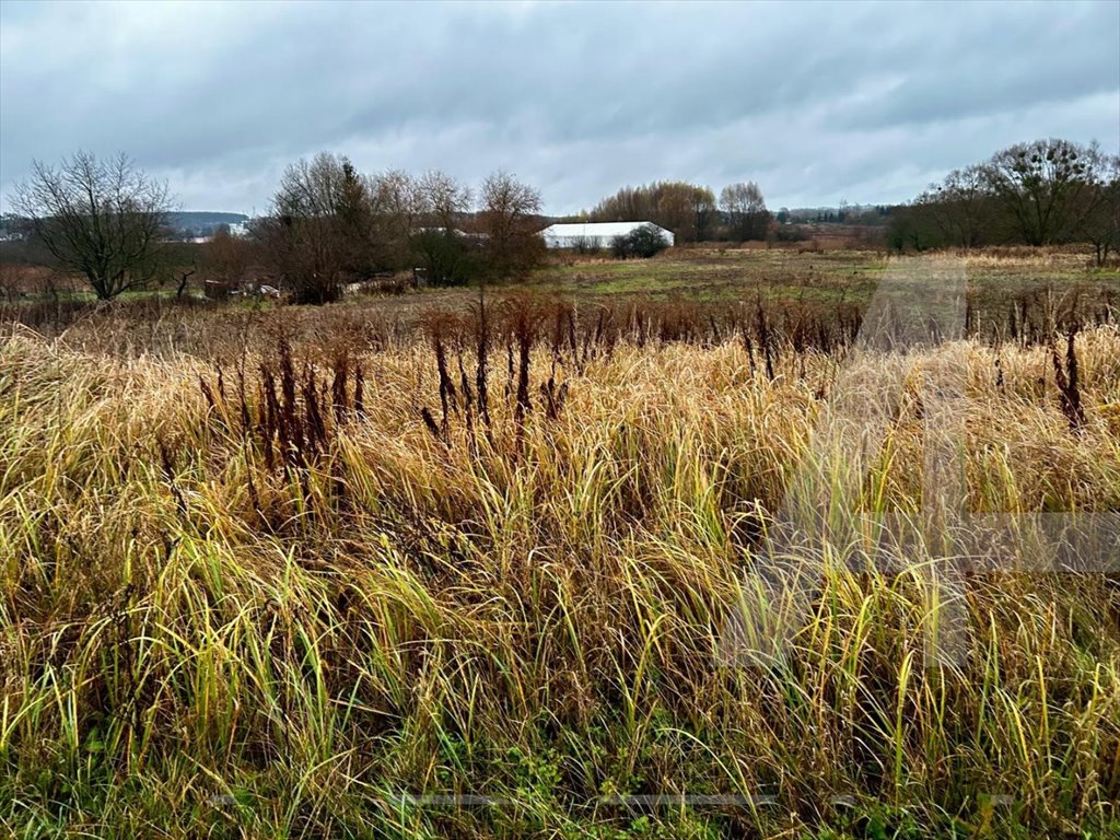 Działka budowlana na sprzedaż Chojna  6 700m2 Foto 1