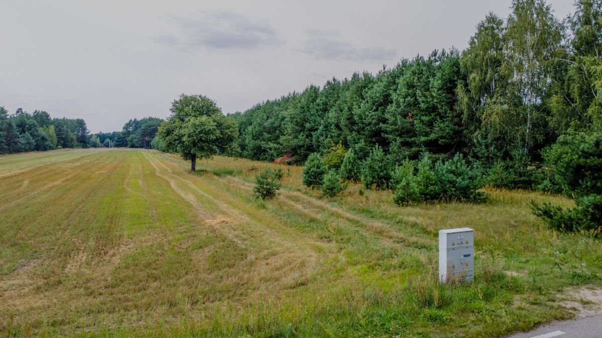 Działka rekreacyjna na sprzedaż Michałowo  4 818m2 Foto 12