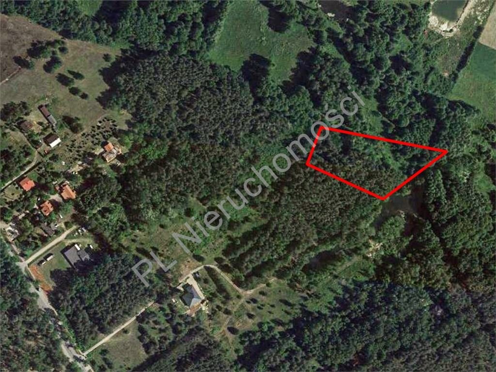 Działka 6263 m² z lasem i dostępem do stawu Marynin  6 263m2 Foto 1