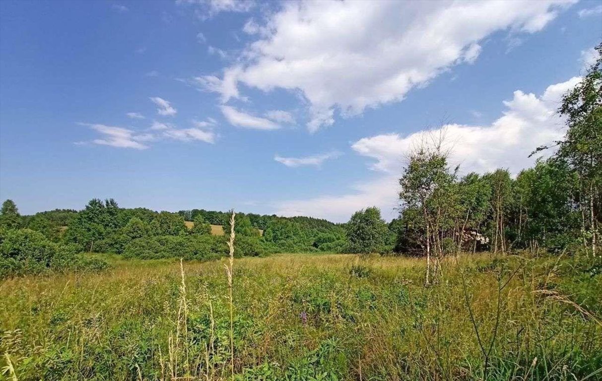 Działka rolna na sprzedaż Olszanka  1 392m2 Foto 1