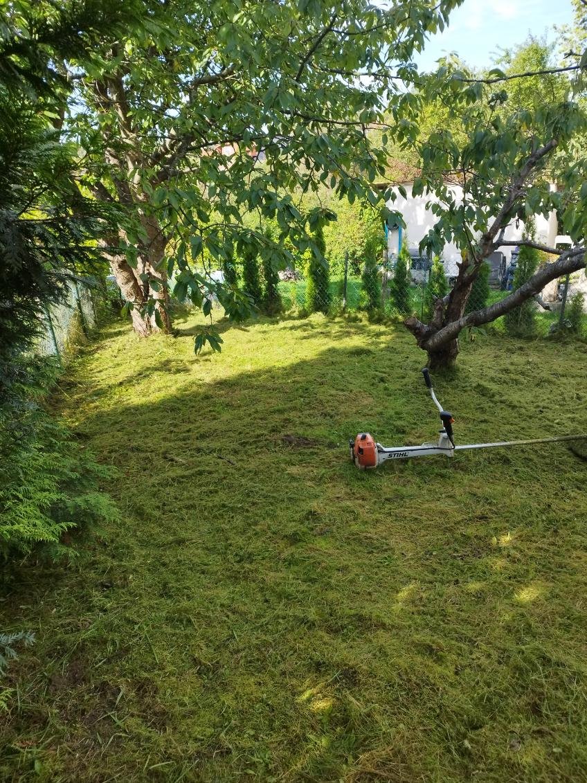 Działka 420 m² z drzewami i domkiem do remontu Gdańsk, Siedlce, Cedrowa  420m2 Foto 1