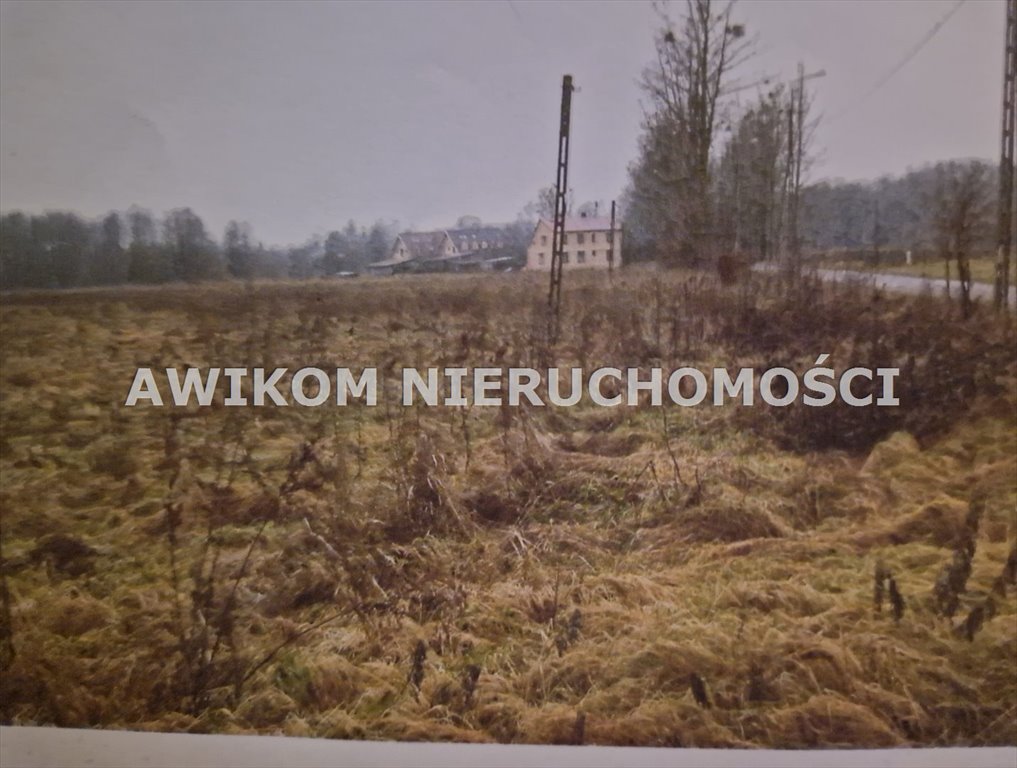 Działka 5700 m² z możliwością zabudowy - blisko Białowieży Białowieża, Zastawa Krzyże  5 700m2 Foto 1
