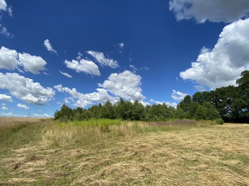 Działka budowlana na sprzedaż Krzywnica  9 900m2 Foto 6