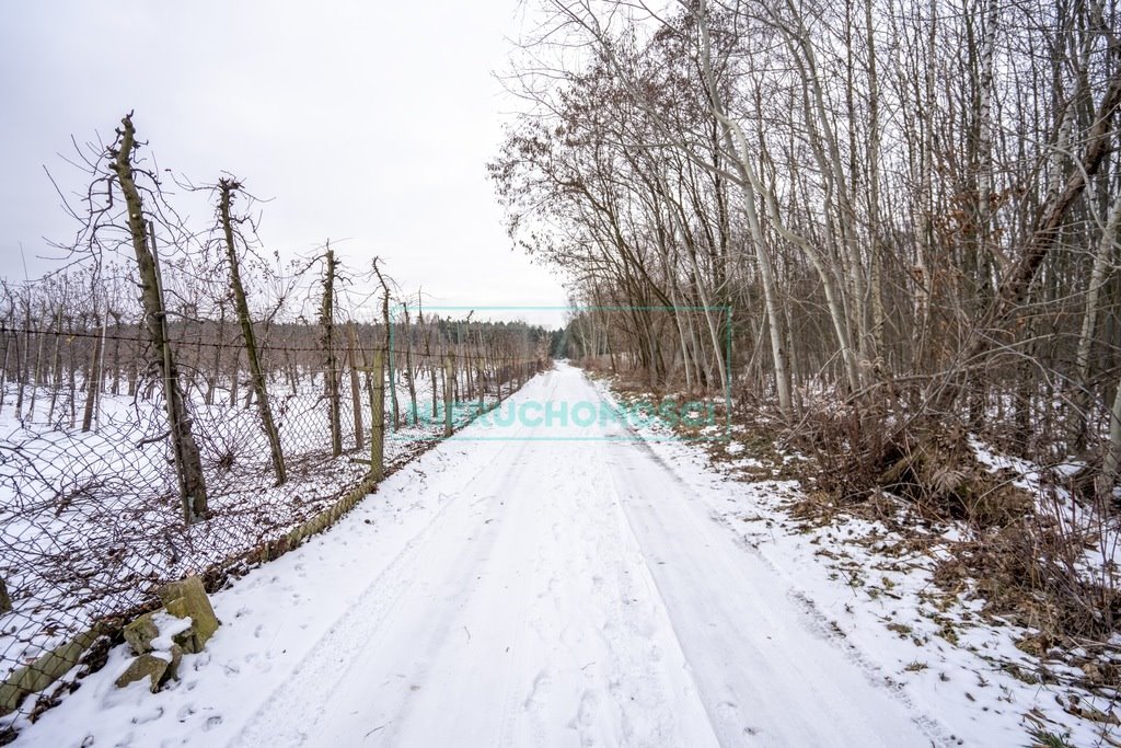 Działka budowlana na sprzedaż Ojrzanów  18 603m2 Foto 4