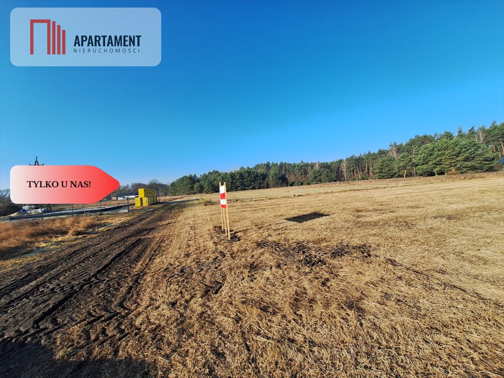 Działka budowlana na sprzedaż Jaracz  900m2 Foto 9