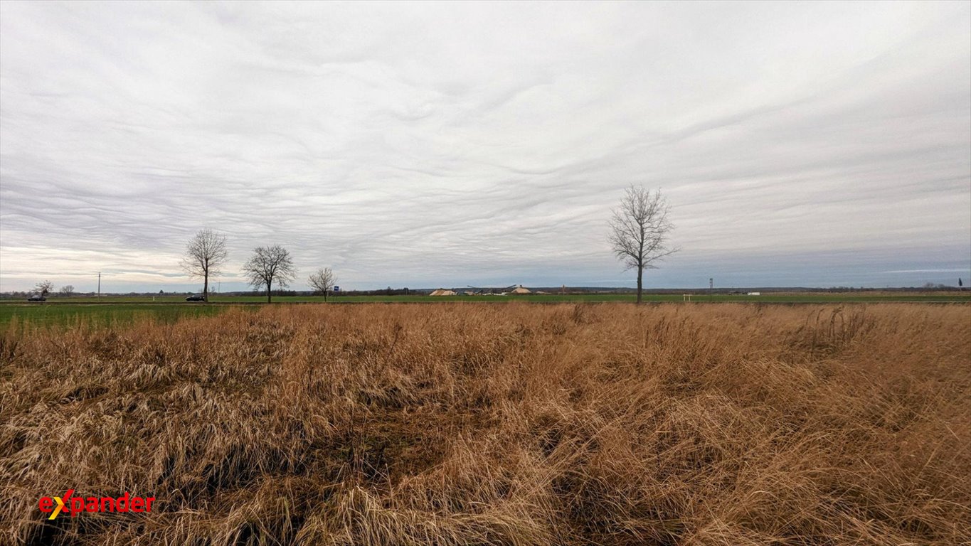 Polecam działkę budowlaną 4300 m² z mediami w Kunicach Kunice  4 300m2 Foto 1