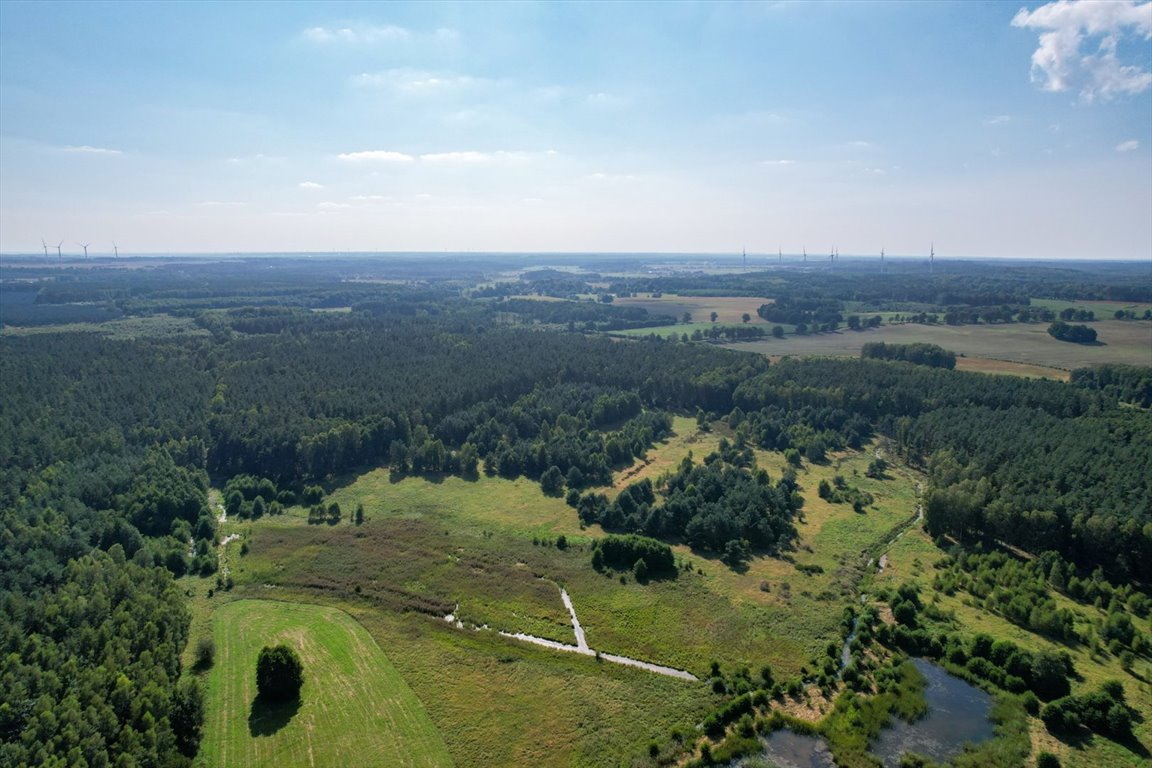 Działka budowlana na sprzedaż Lękwica, Lękwica  10 200m2 Foto 2