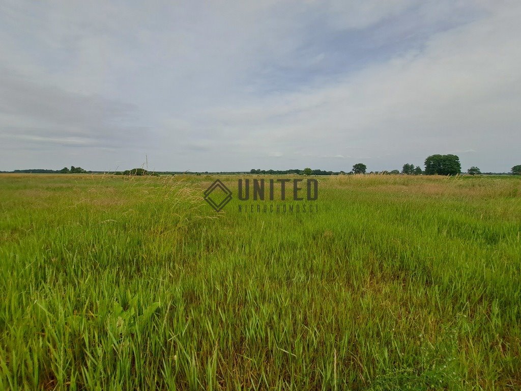 Działka budowlana na sprzedaż Jagoszyce  1 000m2 Foto 3