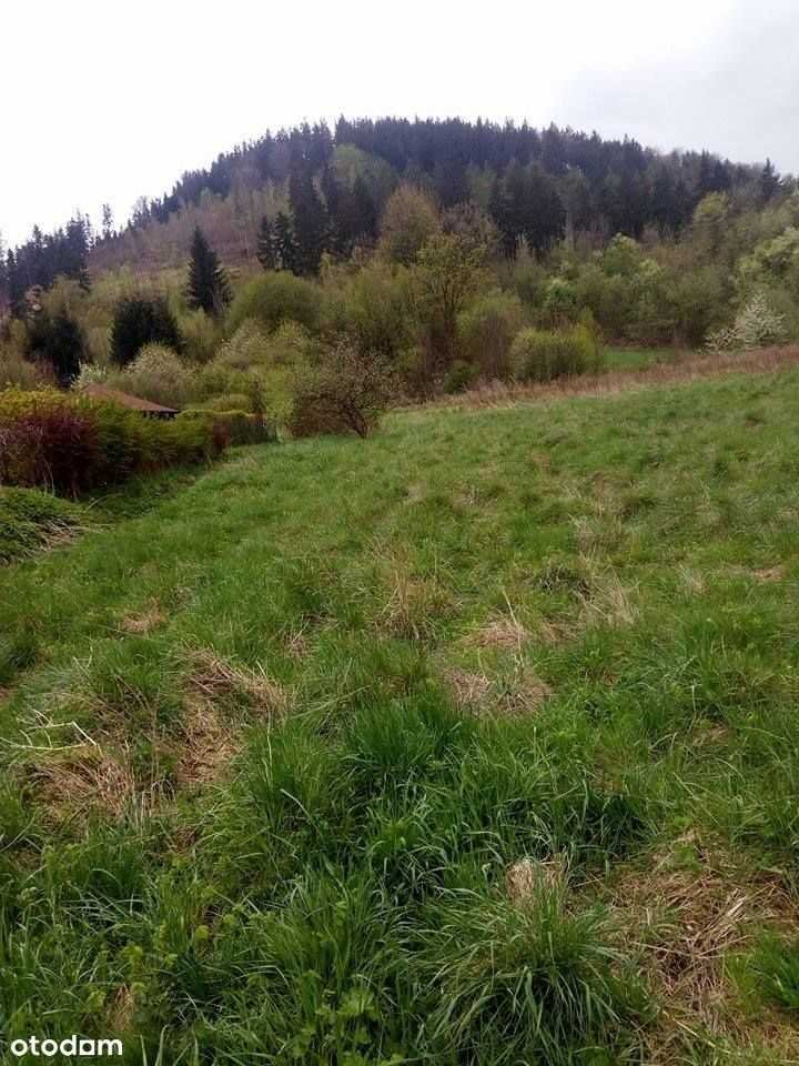 Działka inna na sprzedaż Jedlina-Zdrój  1 190m2 Foto 2