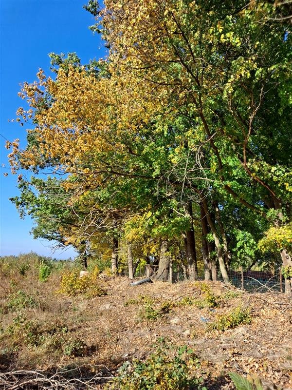 Działka inna na sprzedaż Suchacz, Suchacz  10 832m2 Foto 1