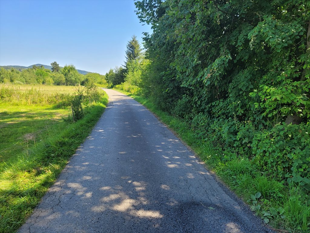 Działka budowlana na sprzedaż Florynka  1 800m2 Foto 4