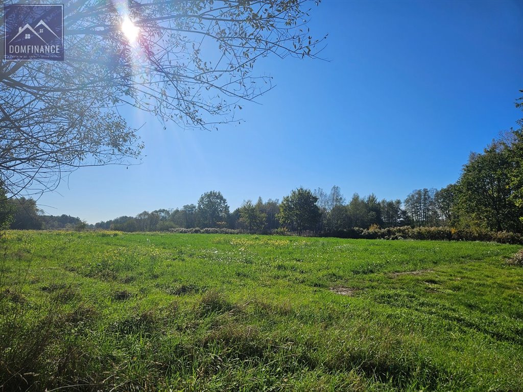 Działka inna na sprzedaż Dąbrowa Tarnowska  29 500m2 Foto 19