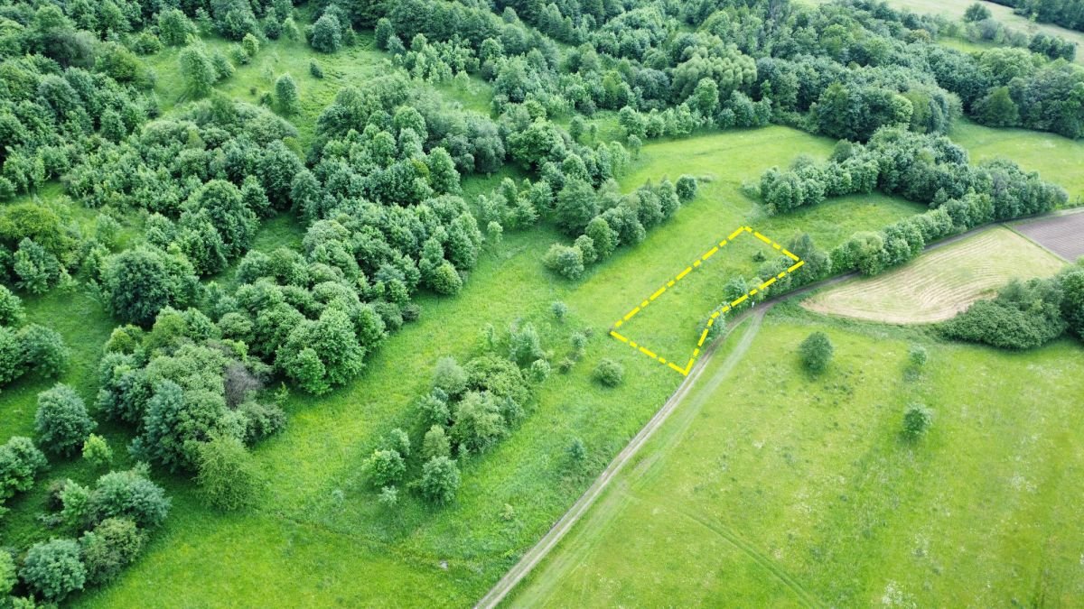 Działka rolna na sprzedaż Rychwałd  1 100m2 Foto 6