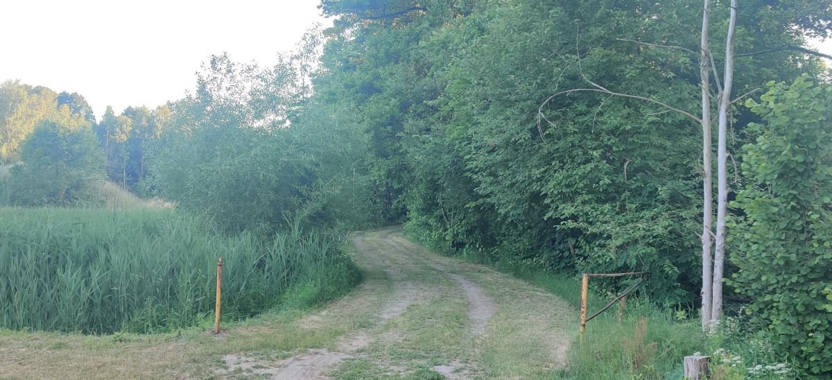 Lokal użytkowy na sprzedaż Tartak  52 600m2 Foto 16