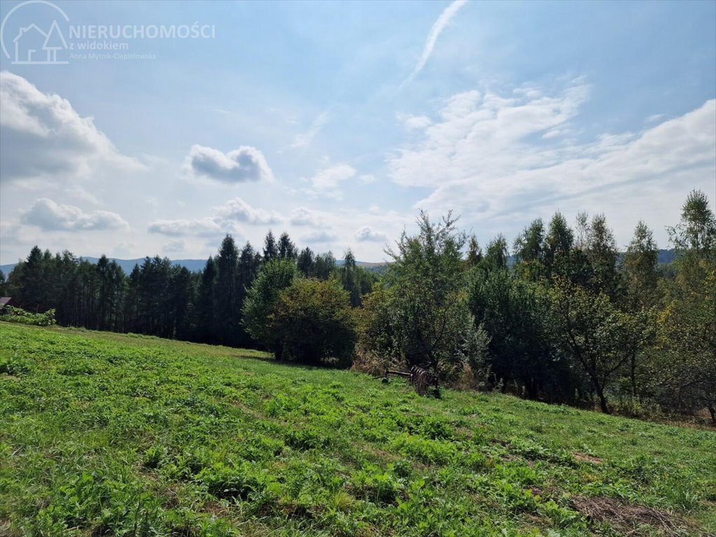 Działka budowlana na sprzedaż Tuchów  4 632m2 Foto 8