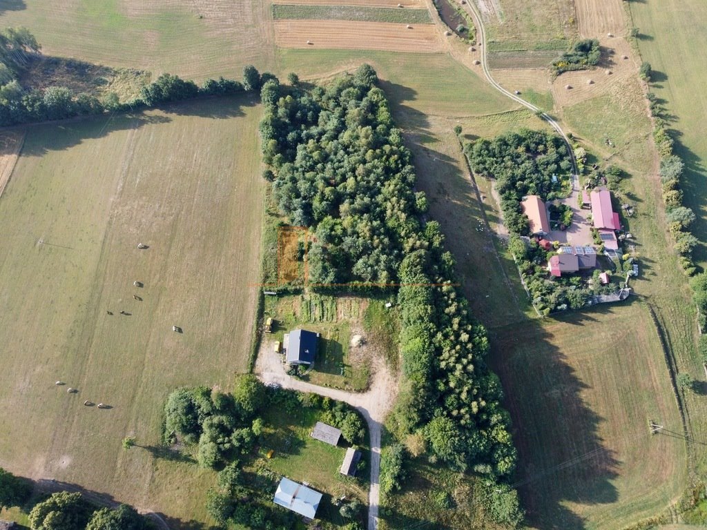 Działka rolna na sprzedaż Miechucino, Strysza Góra  10 700m2 Foto 6