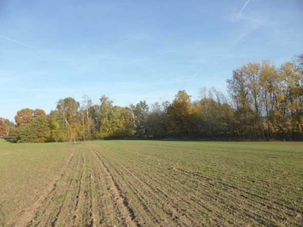 Działka budowlana na sprzedaż Dobra (Szczecińska), BUK  800m2 Foto 1