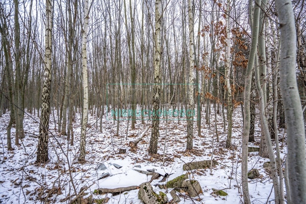 Działka budowlana na sprzedaż Ojrzanów  18 603m2 Foto 2