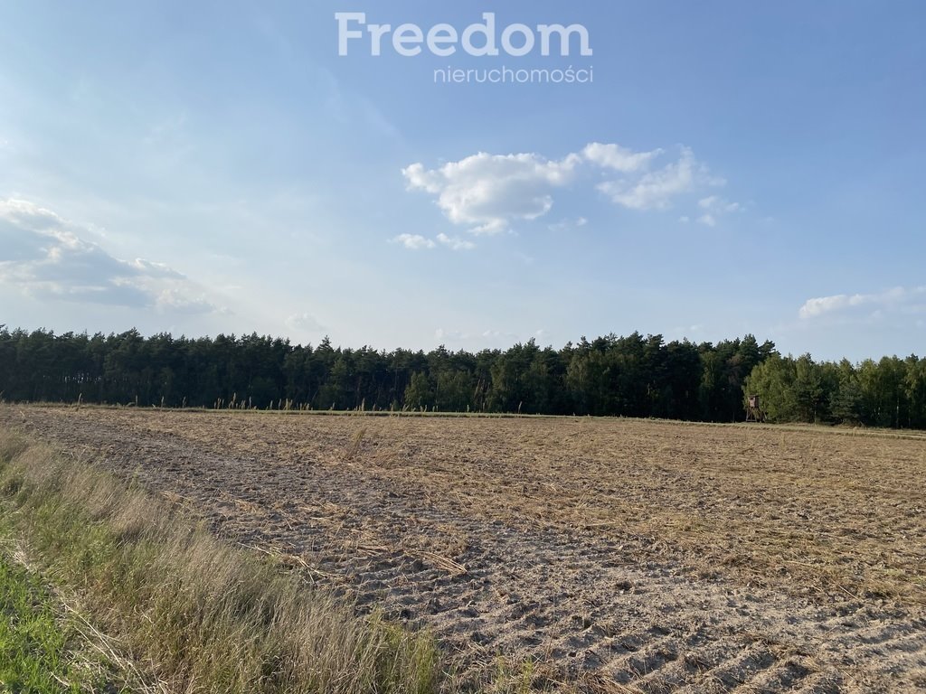 Działka rolna na sprzedaż Ciechocin  9 200m2 Foto 4