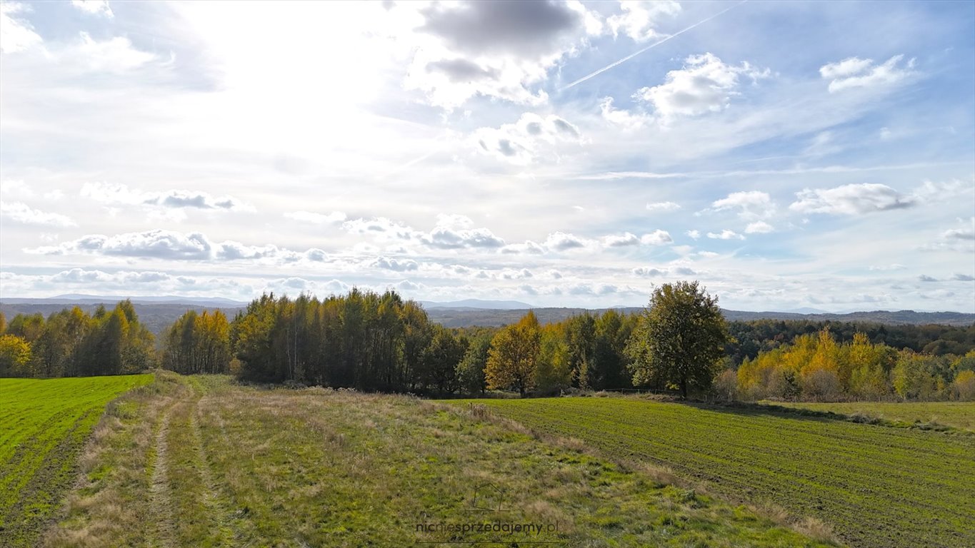 Działka inna na sprzedaż Brzesko, Poręba Spytkowska, Poręba Spytkowska  2 111m2 Foto 4