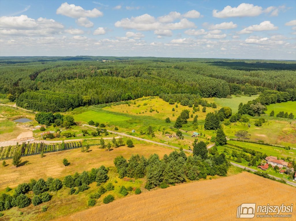 Działka rolna na sprzedaż Chojna  23 200m2 Foto 9