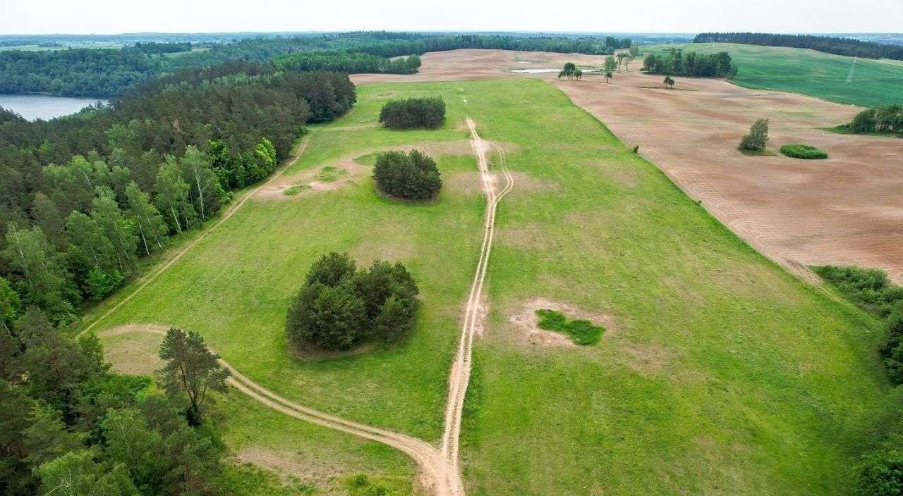 Działka rolna na sprzedaż Nowe Krzywe  3 011m2 Foto 8