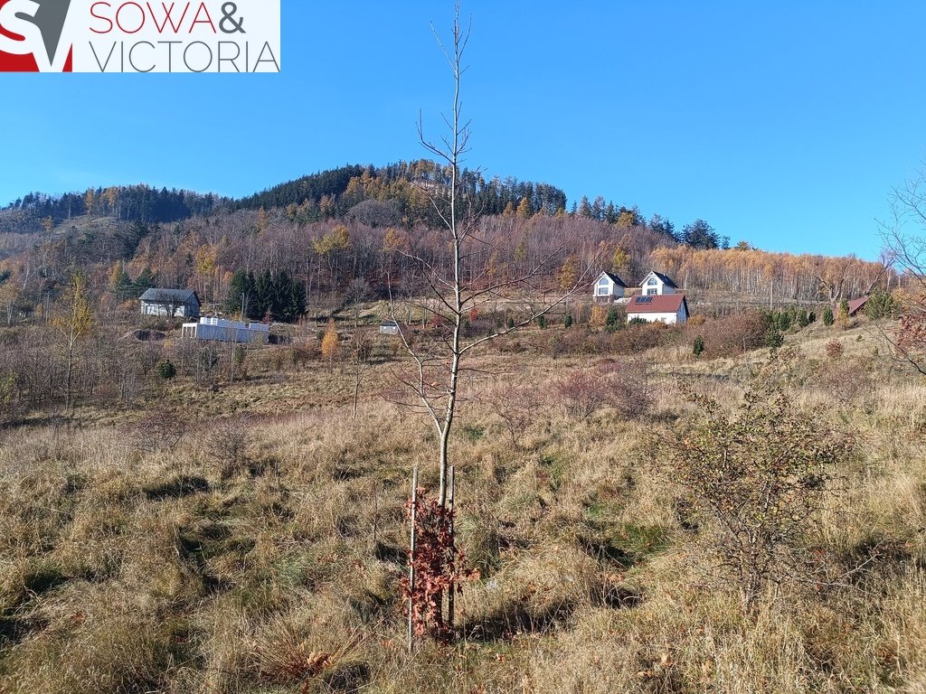 Działka budowlana na sprzedaż Jedlina-Zdrój, Kamieńsk  3 900m2 Foto 7