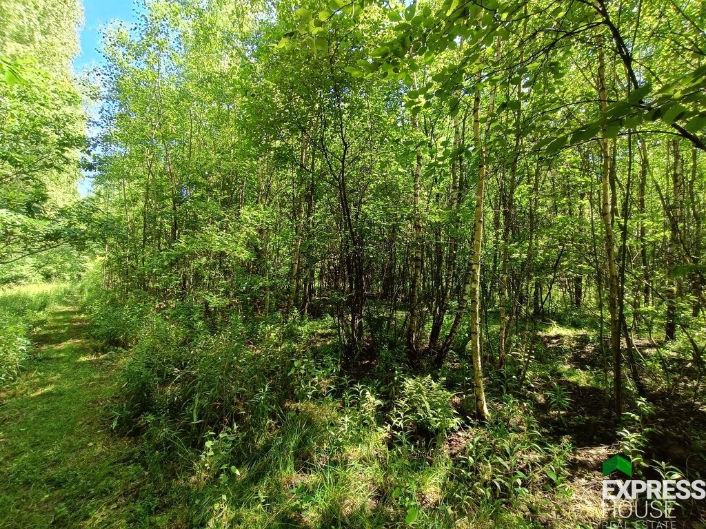 Działka budowlana na sprzedaż Pogorzel  2 072m2 Foto 4