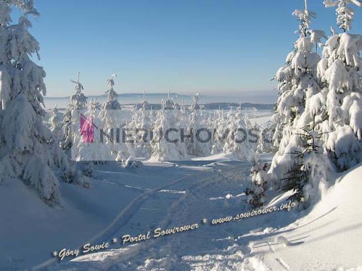 Mieszkanie trzypokojowe na sprzedaż Pieszyce  53m2 Foto 16