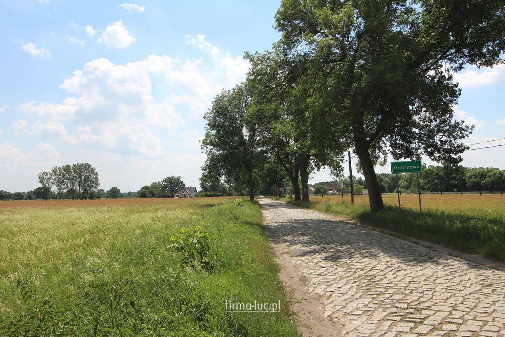 Działka budowlana na sprzedaż Gościnowo 118 482m2 Foto 1 Działka budowlana na sprzedaż Gościnowo 118 482m2 Foto 1